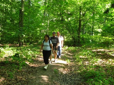 Wałcz 2010
