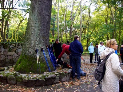 Kijki 2010