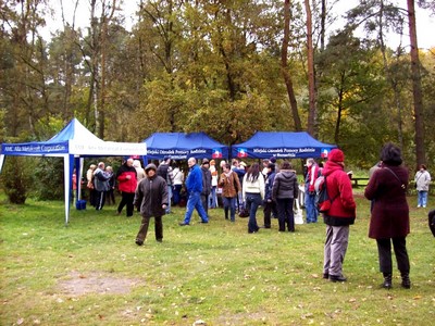 Kijki 2010