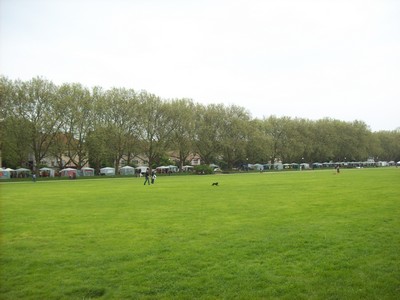 Platany 2010